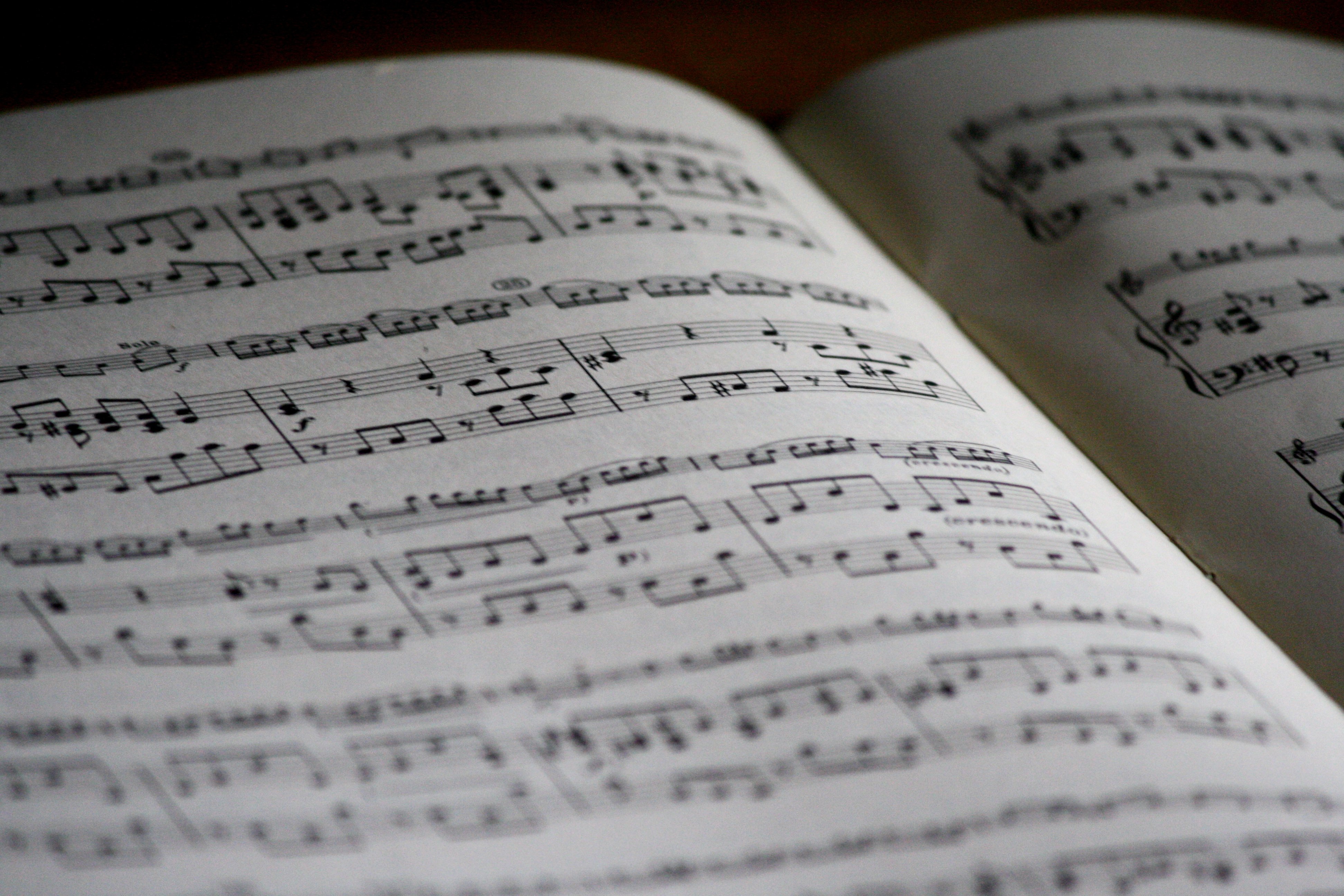 What Is The Difference Between Melody And Rhythm Pediaa Com