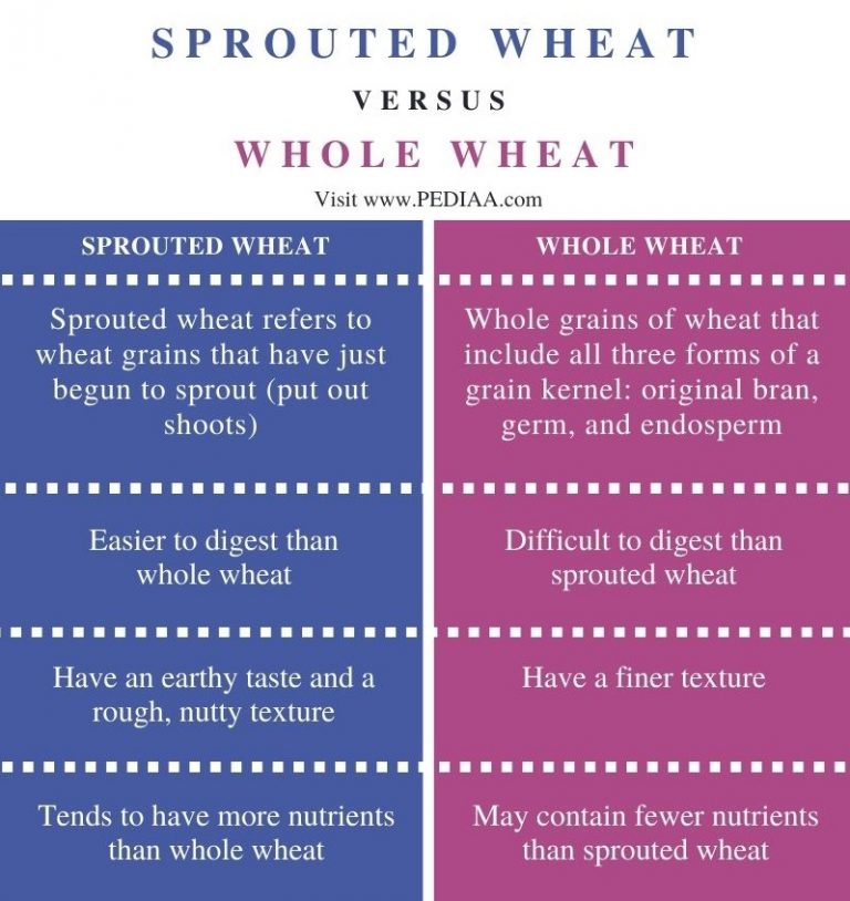 What is the Difference Between Sprouted Wheat and Whole Wheat