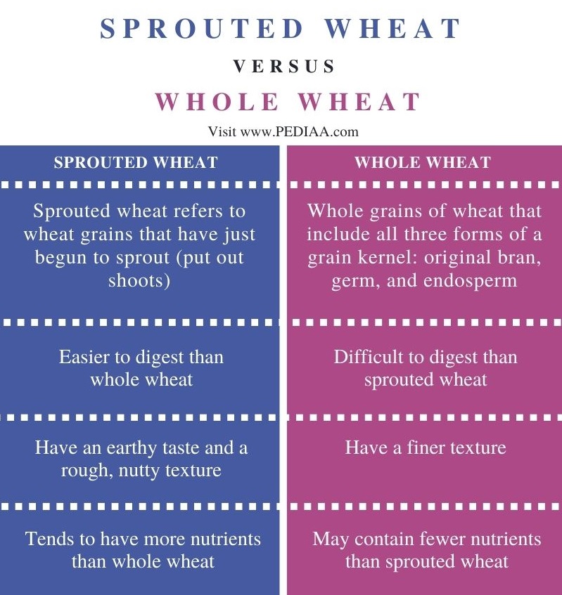 what-is-the-difference-between-sprouted-wheat-and-whole-wheat-pediaa-com