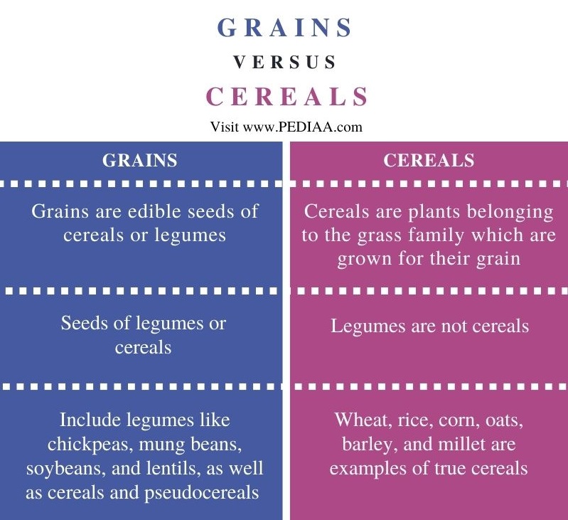 what-is-the-difference-between-grains-and-cereals-pediaa-com