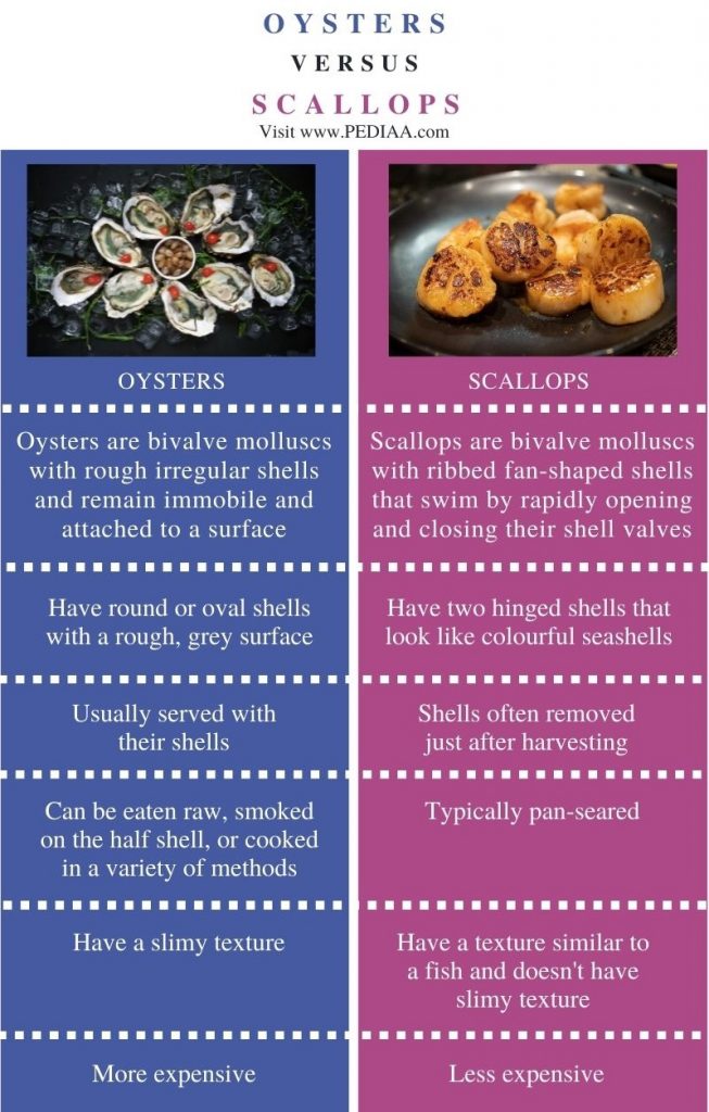 What is the Difference Between Oysters and Scallops