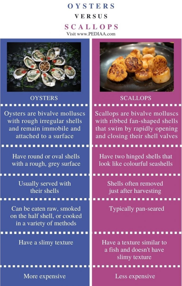 What is the Difference Between Oysters and Scallops