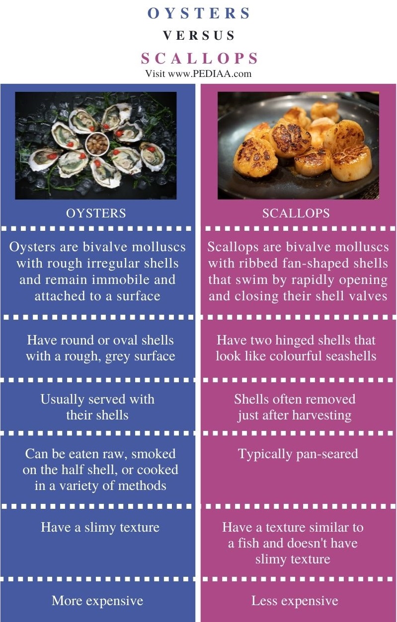 What is the Difference Between Oysters and Scallops
