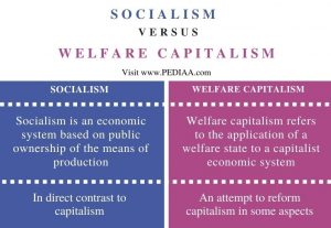 What Is The Difference Between Socialism And Welfare Capitalism ...