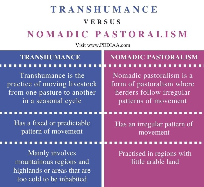 what-is-the-difference-between-transhumance-and-nomadic-pastoralism