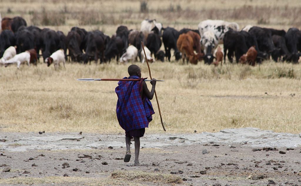 What Is Nomadic Pastoralists Definition