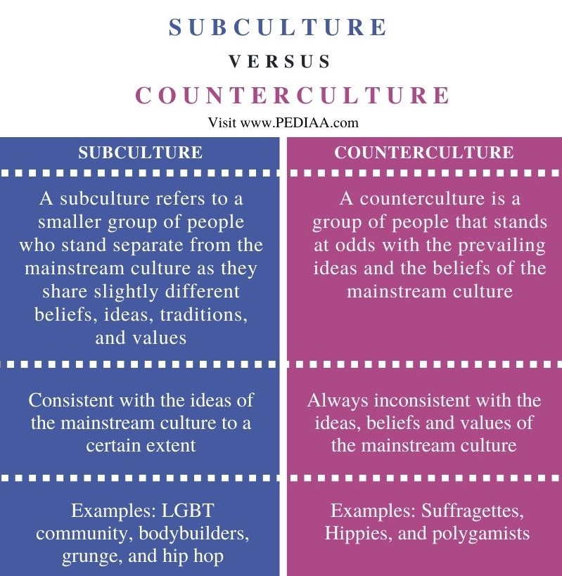 describe-how-subcultures-and-countercultures-are-related-moniquemincrosby