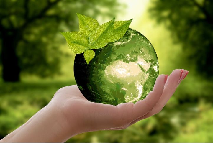 What Is The Difference Between Sustainable Development And Green 