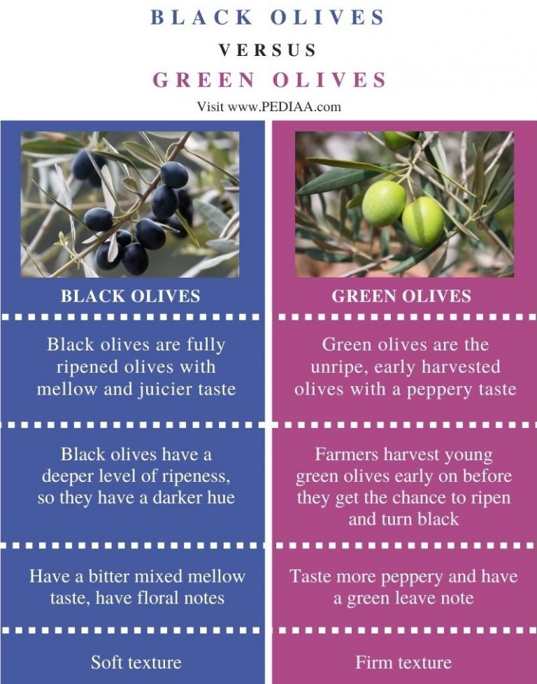 What is the Difference Between Black and Green Olives