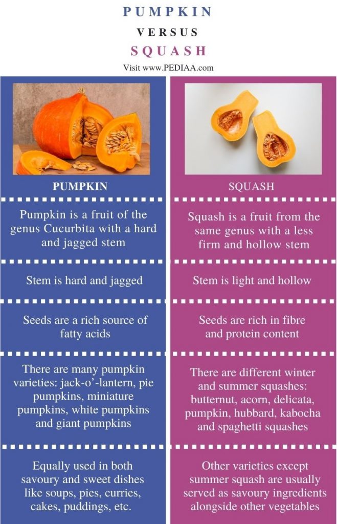 Difference Between Pumpkin and Squash - Comparison Summary