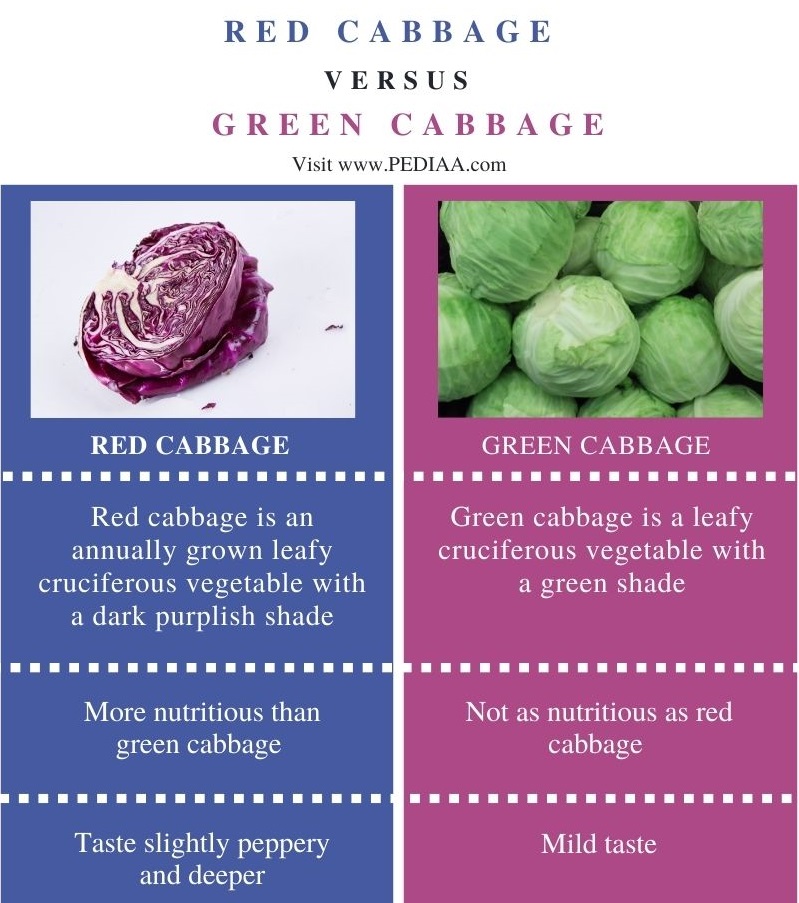 What is the Difference Between Red Cabbage and Green Cabbage
