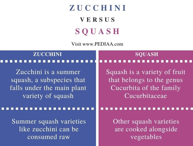 Top 10+ Yellow zucchini vs yellow squash 2 What is the Difference Between Zucchini and Squash
