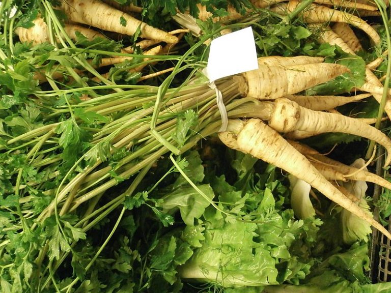 What is the Difference Between Parsnips and Turnips