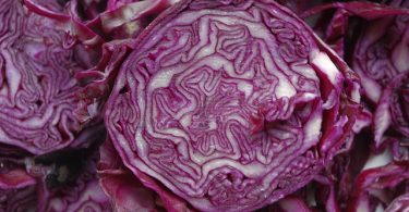 Red cabbage vs Green cabbage
