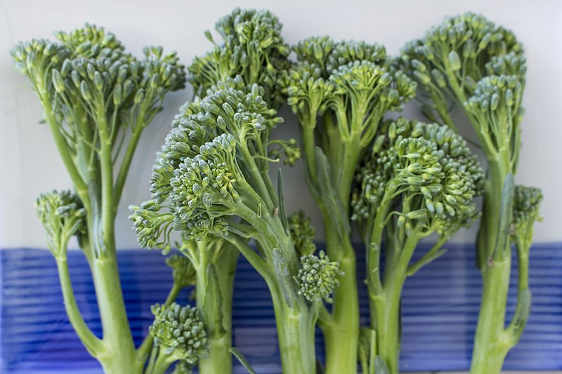 What is the Difference Between Broccoli and Broccolini