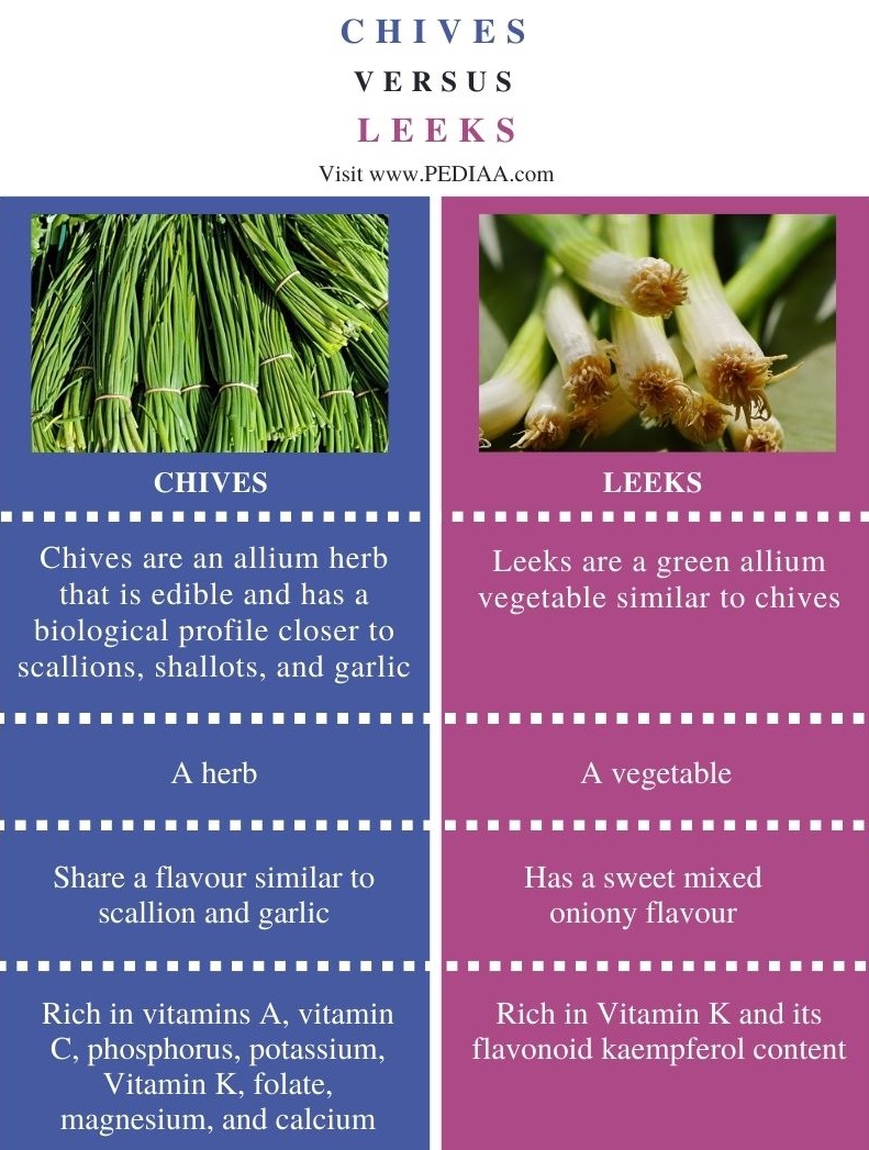 What is the Difference Between Chives and Leeks - Pediaa.Com