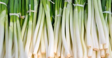 Chives vs Green Onions vs Scallions