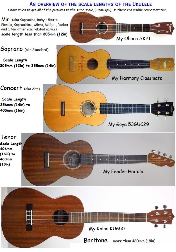 Tenor and Concert Ukulele - What is the Difference?