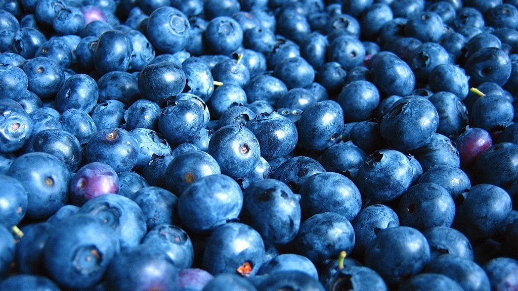 Blueberry vs Cranberry
