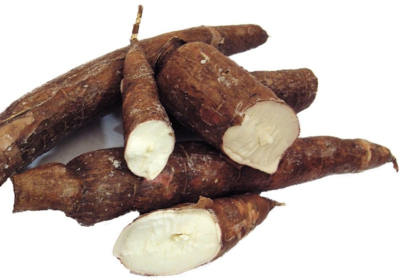 What is the Difference Between Cassava and Yam