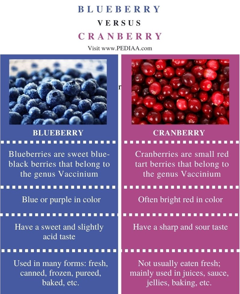 Difference Between  Blueberry and Cranberry - Comparison Summary