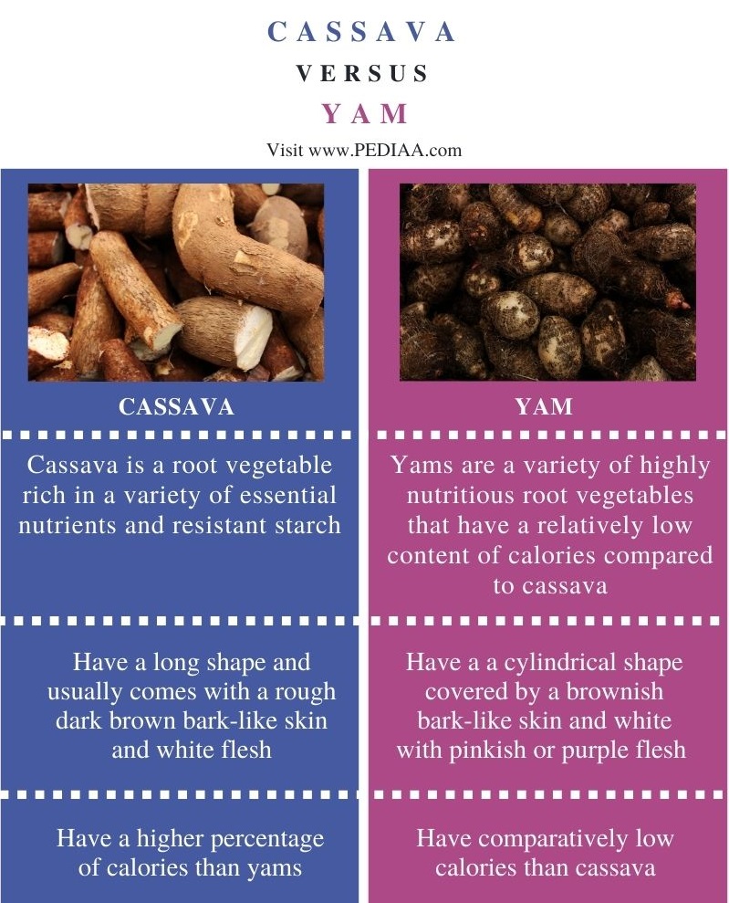 What is the Difference Between Cassava and Yam