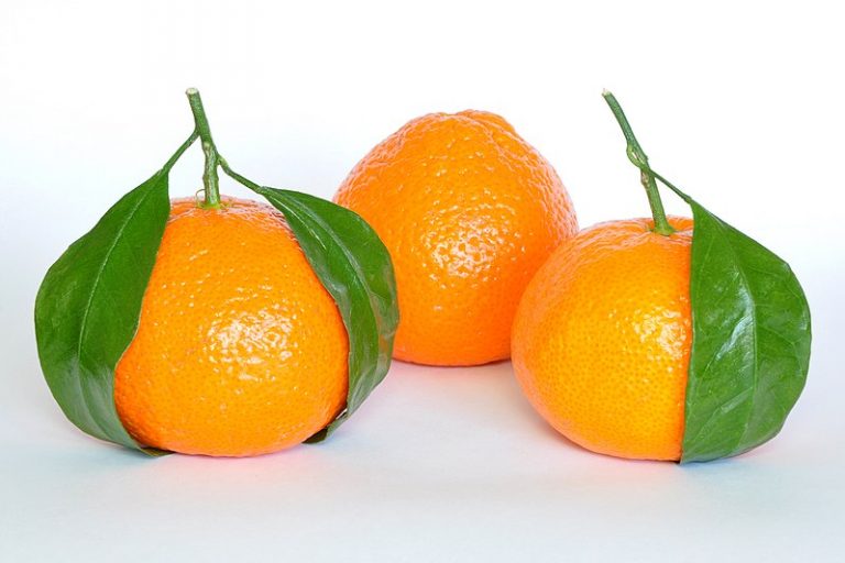 What is the Difference Between Sweet Orange and Mandarin
