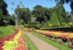 Herbarium vs Botanical Garden