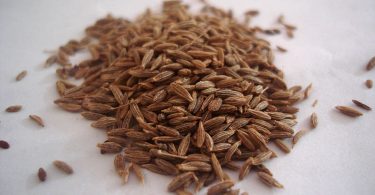 Compare Cumin and Caraway Seeds - What's the difference?