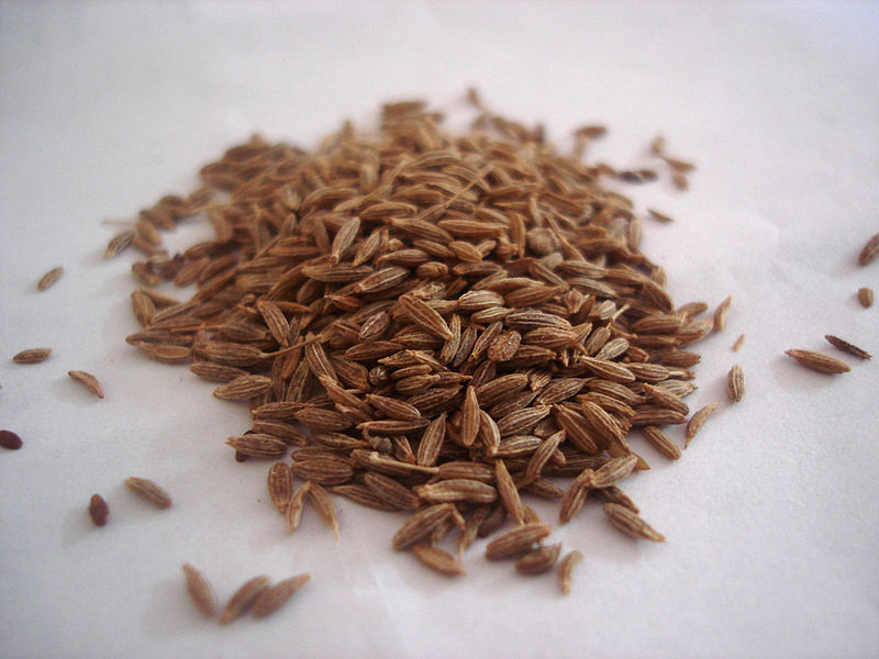 Compare Cumin and Caraway Seeds - What's the difference?