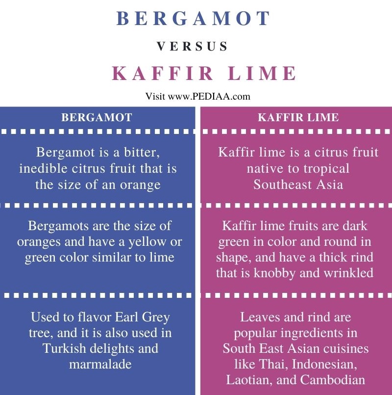 Difference Between Bergamot and Kaffir Lime - Comparison Summary