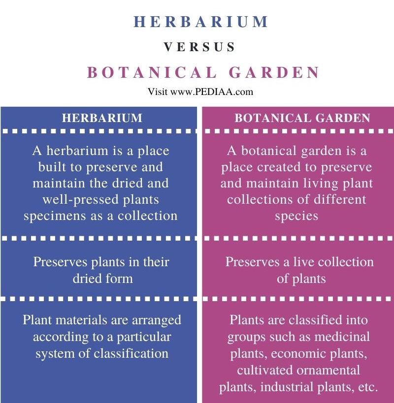 Difference Between Herbarium and Botanical Garden - Comparison Summary