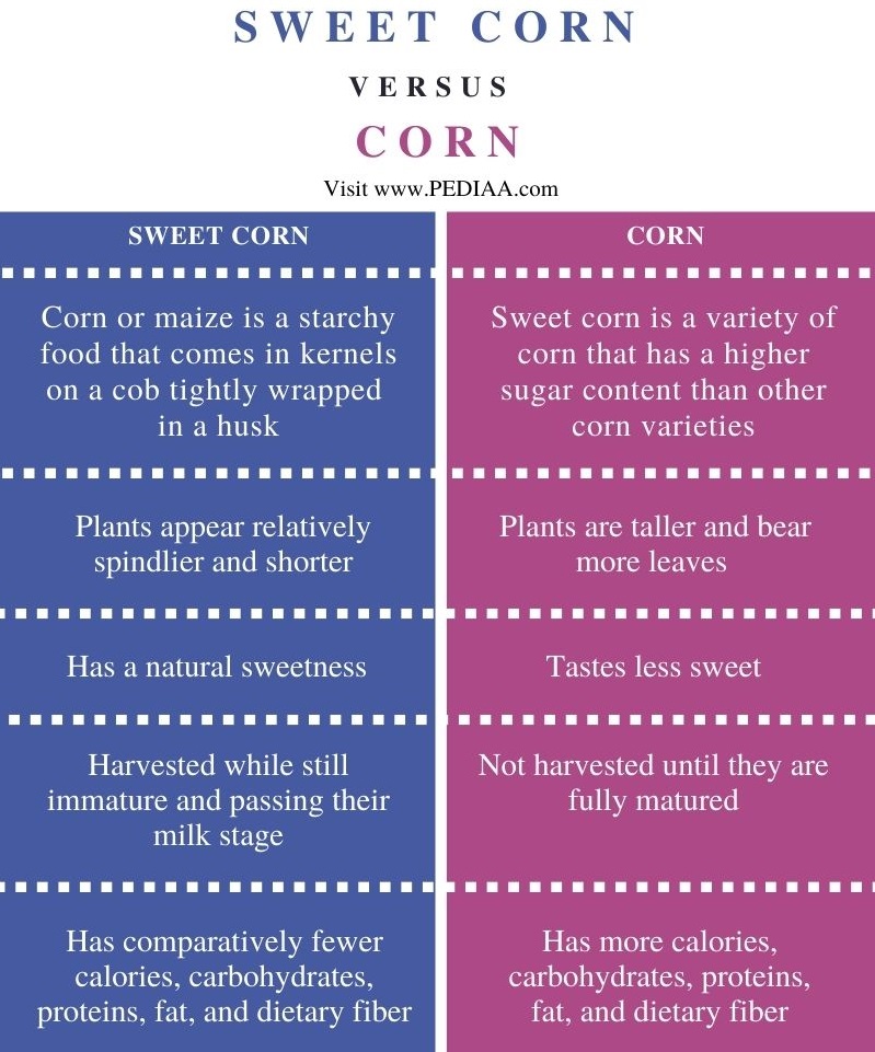 What is the Difference Between Sweet Corn and Corn