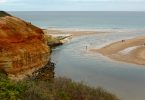 Estuary vs Wetland