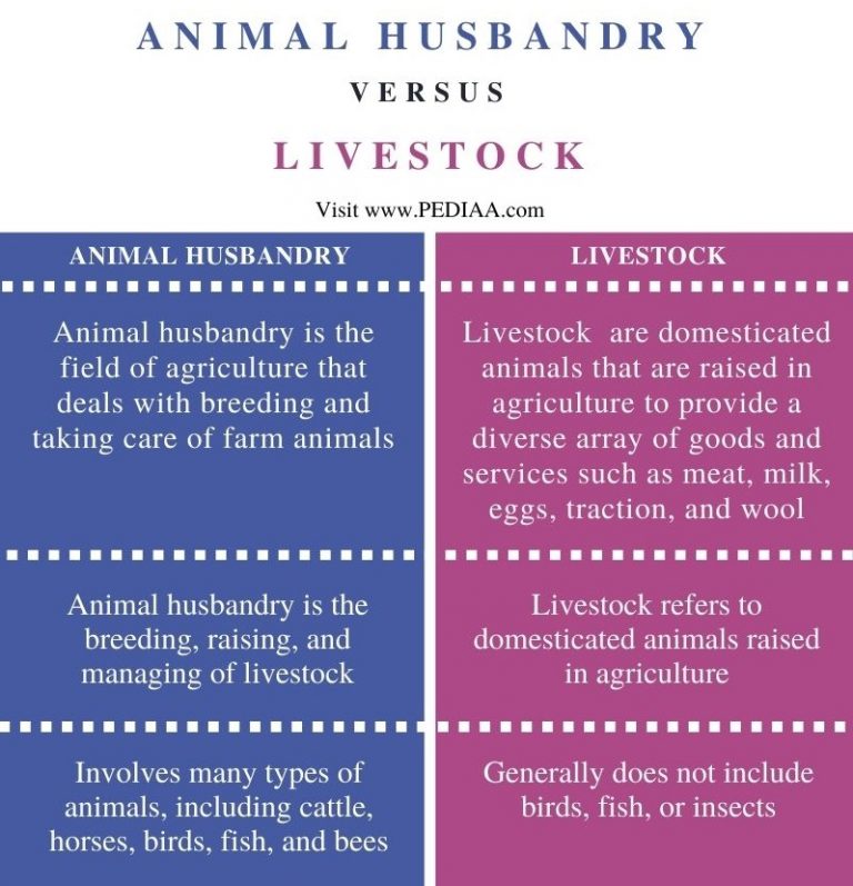 what-is-the-difference-between-animal-husbandry-and-livestock-pediaa-com