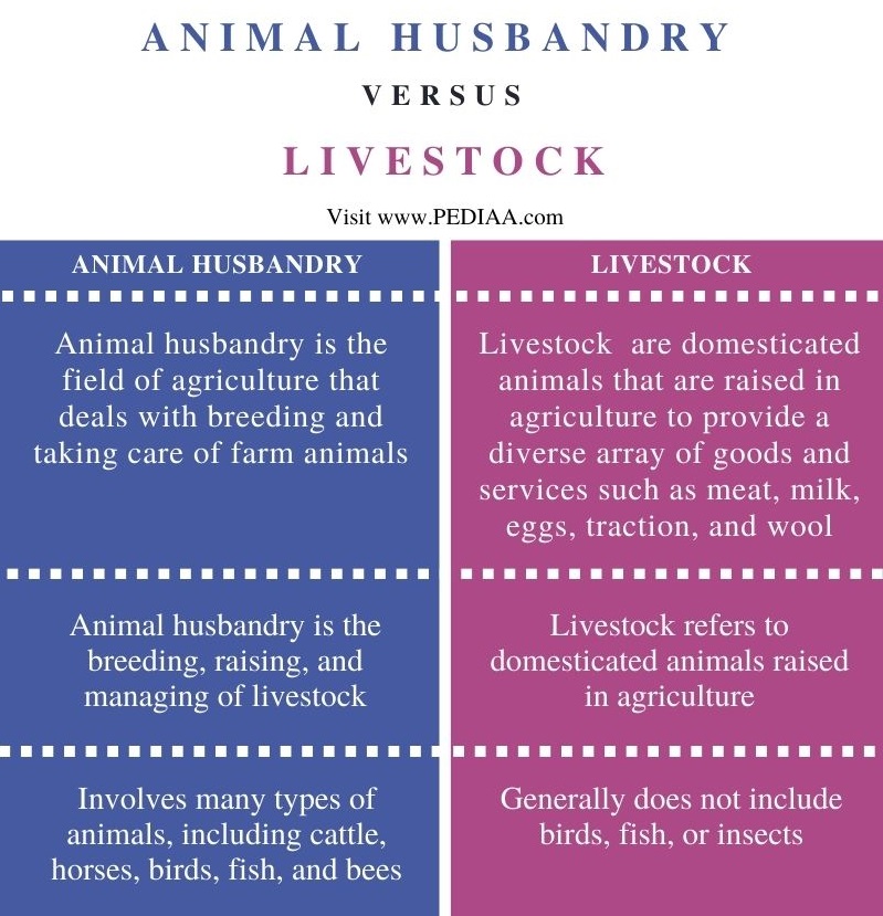 Difference Between Animal Husbandry and Livestock - Comparison Summary