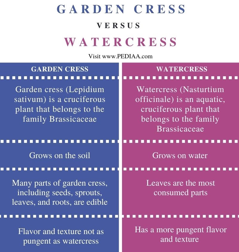 Difference Between Garden Cress and Watercress - Comparison Summary