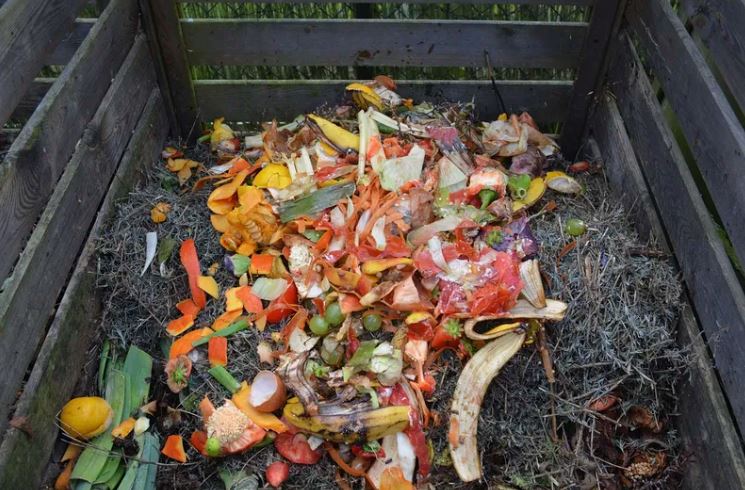 Compare Recycling and Composting - What's the difference?