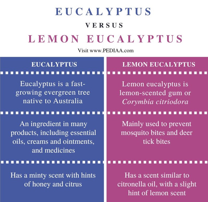 Difference Between Eucalyptus and Lemon Eucalyptus - Comparison Summary