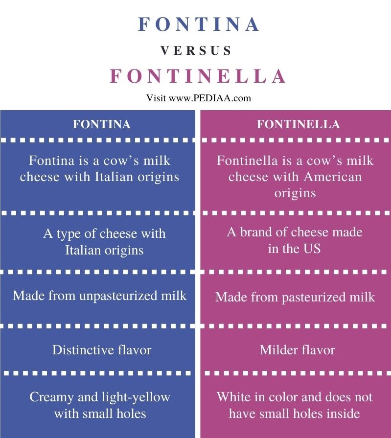 Difference Between Fontina and Fontinella - Comparison Summary
