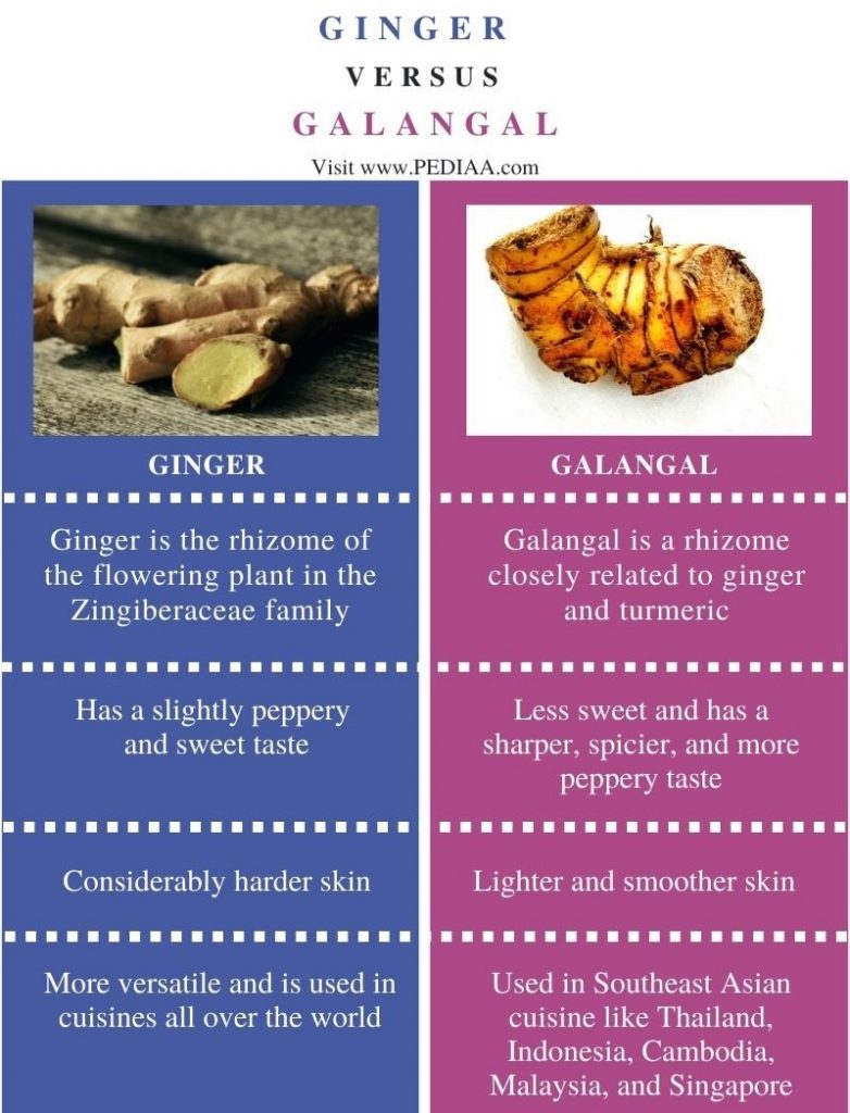 What is the Difference Between Ginger and Galangal