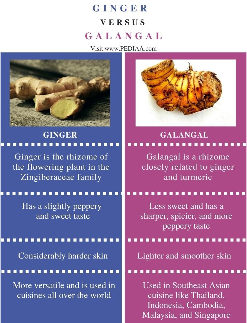 Difference Between Ginger and Galangal - Comparison Summary