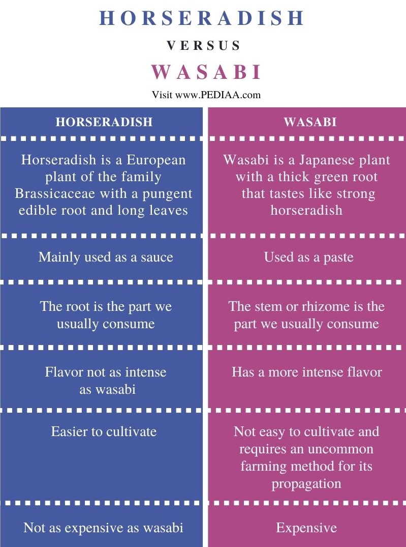 Difference Between Horseradish and Wasabi - Comparison Summary