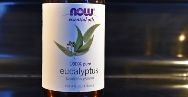 Compare Eucalyptus and Lemon Eucalyptus - What's the difference?