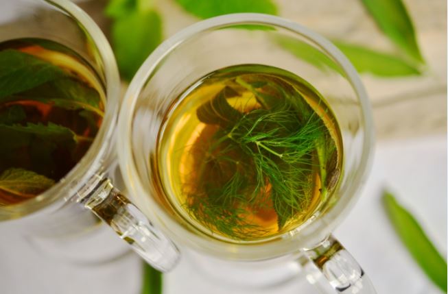 Compare Infusion and Decoction - What's the difference?