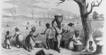 Indentured Servants vs Slaves