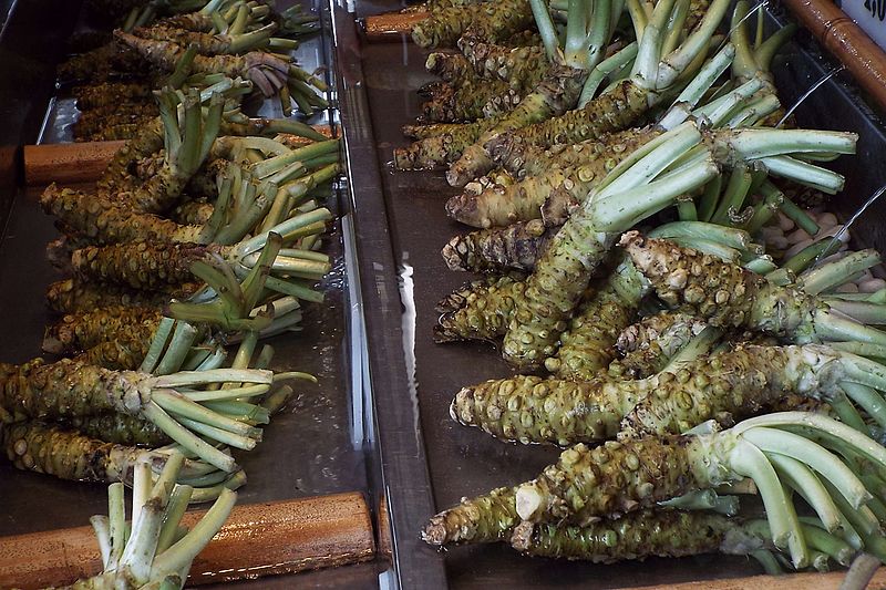 Compare Horseradish and Wasabi - What's the difference?