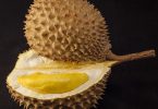 Compare Jackfruit and Durian - What's the difference?