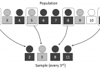 Example and Sample