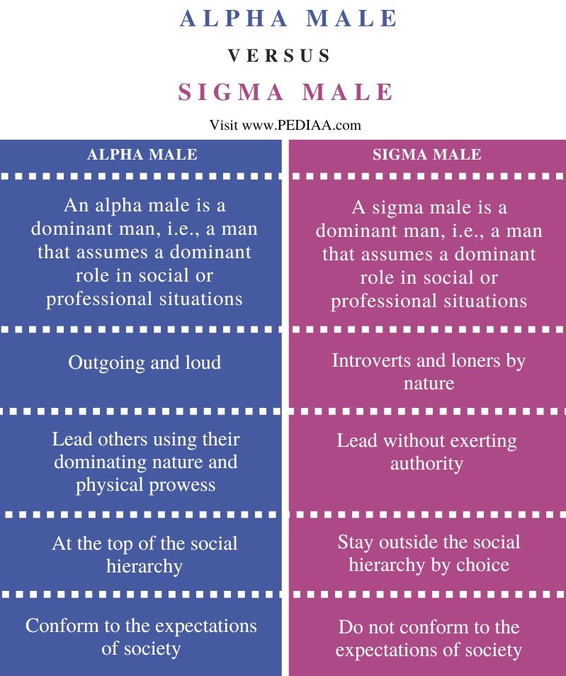Difference Between Alpha and Sigma Male - Comparison Summary